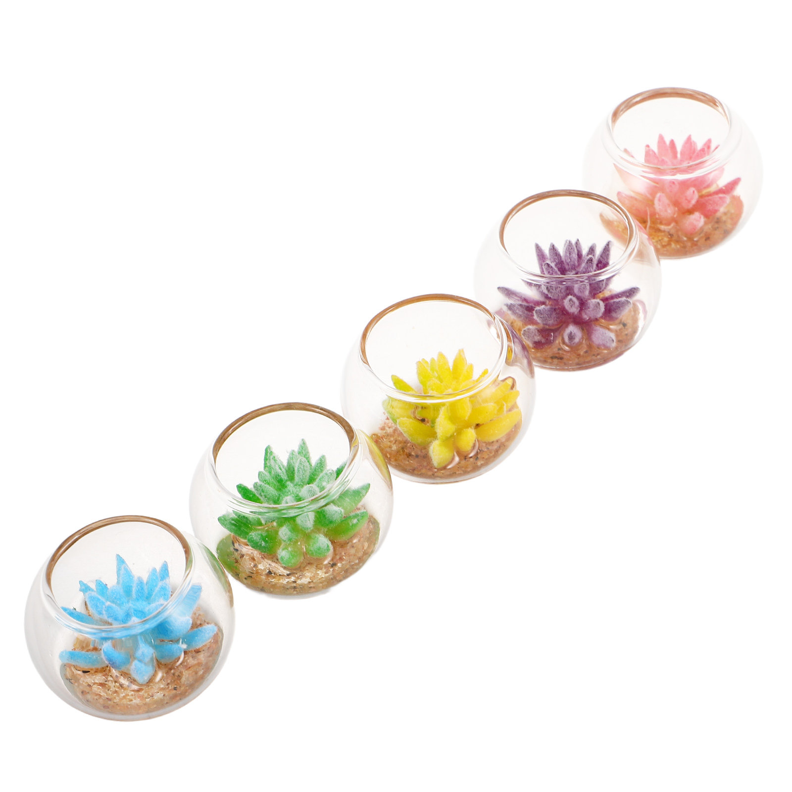5 macetas de vidrio en miniatu - Plant Pot reseña y precio