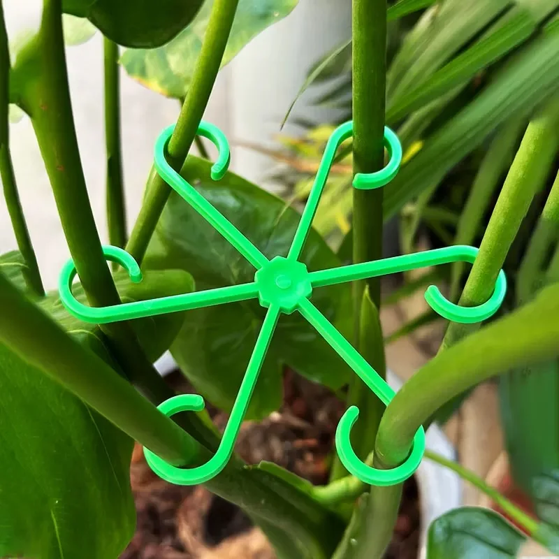 Estacas de soporte para tallo  - Indoor Herb Garden reseña y precio