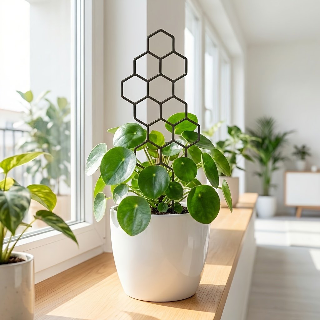 1/2 paquete de enredaderas par - Indoor Herb Garden reseña y precio