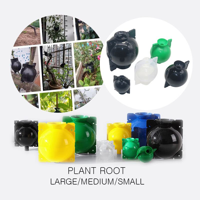 Bola de enraizamiento de plant - Seed Starter Tray reseña y precio